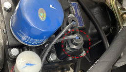 凯时|AG(Asia Gaming)优质运营商